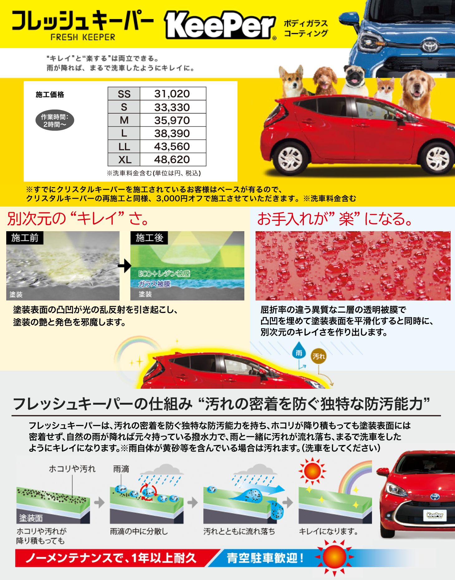 コーティングクスクエア和泉店イチオシのフレッシュキーパー